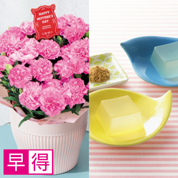 【早得】アサミグリーンプランツ カーネーション「ホットハート」（SUSTEE付）＋坂利製麺所 葛餅【母の日】 商品サムネイル